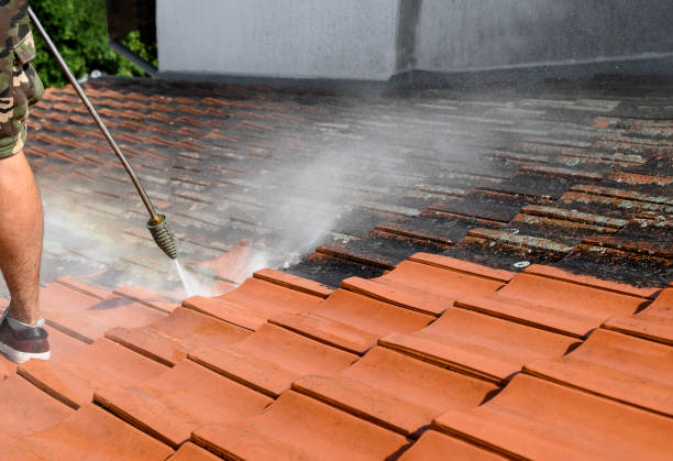 Best Pressure Washing Company Near Me  in Jasper, TX